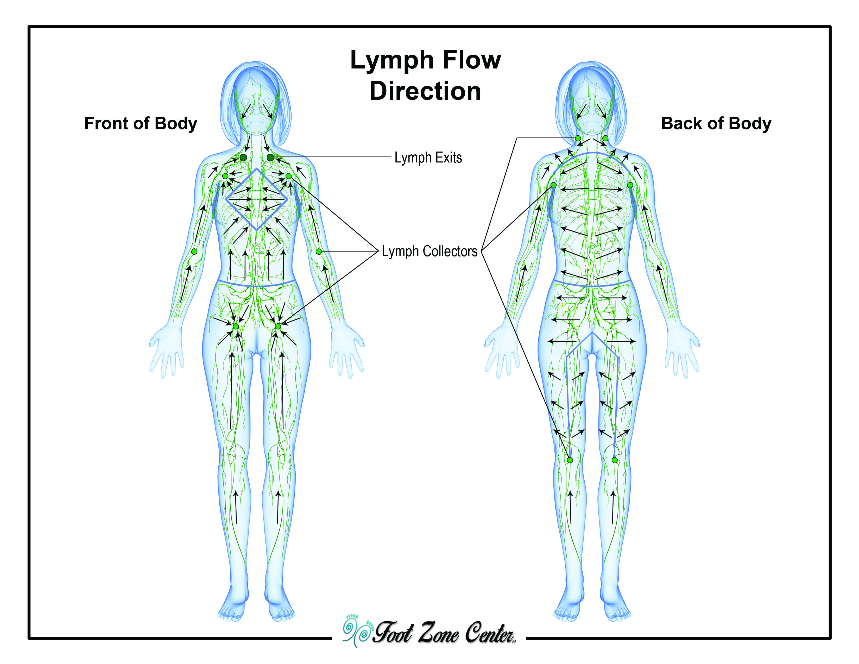 Lymph Flow Foot Zone Center